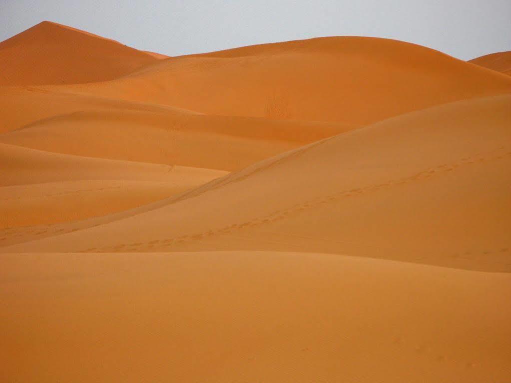 Maison Hassan مرزوكة المظهر الخارجي الصورة